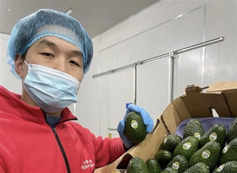 how avocados are shipped to china